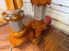 (2) Glycol Booster Pumps