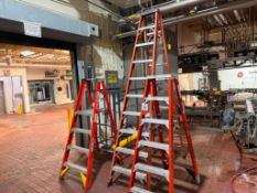 (3) Step Ladders