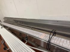 SS Conveyor