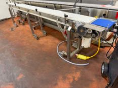 SS Conveyor