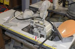 Pegasus Overlock, Model EX5204-32R2, Ser# 9225384
