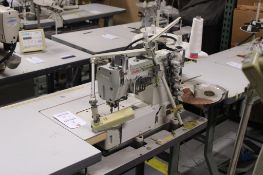 Pegasus Double Needle, Model CW562N02GB, Ser# 463042