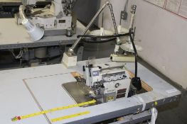 Pegasus Overlock, Model EX5214-M03, Ser# 0058304