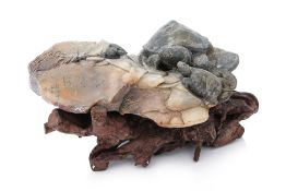 A SOAPSTONE TORTOISE GROUP