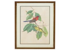 ONG SOO KEAT (MALAYSIAN, B. 1941) MRS GOULD'S SUNBIRDS 1986