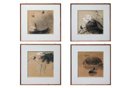 TAN YUZHOU (CHINESE, B. 1962) - A SET OF FOUR STUDIES OF KINGFISHERS