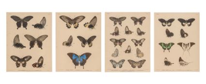 A GROUP OF FOUR STUDIES OF BUTTERFLIES, WILLEM JOHANNES GORDON, 1839-47