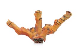 A CORAL SPECIMEN