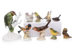 A GROUP OF NINE EUROPEAN PORCELAIN MODELS OF BIRDS