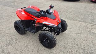SKYTRON CUB 110 KIDS QUAD BIKE UNUSED C.W CERTIFIC