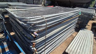 APPROX 50 HERAS FENCE PANELS ***DIRECT FROM GAP***
