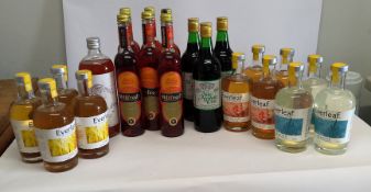 Eleven assorted Everleaf non alcoholic Aperitif 11 x 500ml (some labels damaged), seven non alcoholi
