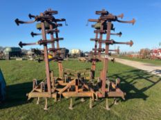 Wilrich 6m cultivator