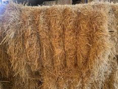 2024 Winter Barley Straw - (Norfolk)