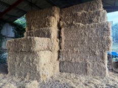 Straw Bales - (Norfolk)