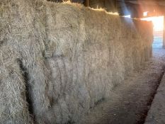 2025 Meadow Hay - (Norfolk)