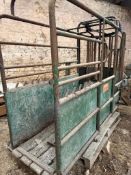 Tubar Cattle Crush - (North Lincolnshire)