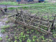 Spring Tine Cultivator - (Norfolk)