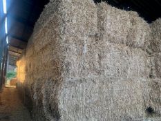 2024 Winter Barley Straw - (Norfolk)