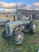 Grey Ferguson - (Norfolk)