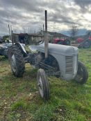 Grey Ferguson - (Norfolk)