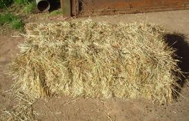 2025 Meadow Hay - (Norfolk)