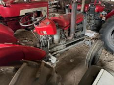 Massey Ferguson 35 - (Norfolk)