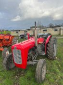 Massey Ferguson 35X - (Norfolk)