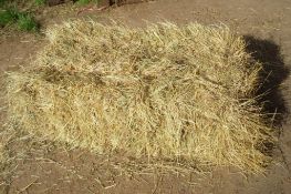 2025 Meadow Hay - (Norfolk)