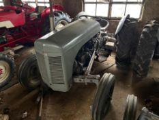 Grey Ferguson - (Norfolk)