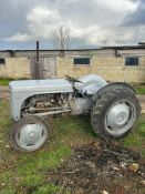 Grey Ferguson - (Norfolk)