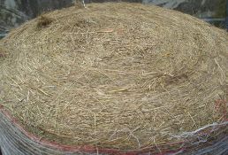 2023 Meadow Hay - (Norfolk)