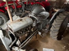 Grey Ferguson - (Norfolk)