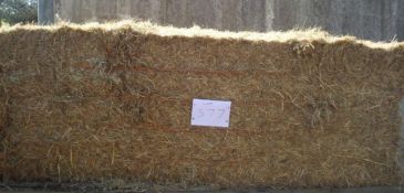 2023 Hay - (Norfolk)