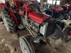 Massey Ferguson 35X - (Norfolk)
