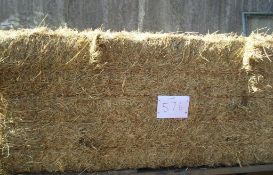 2023 Hay - (Norfolk)