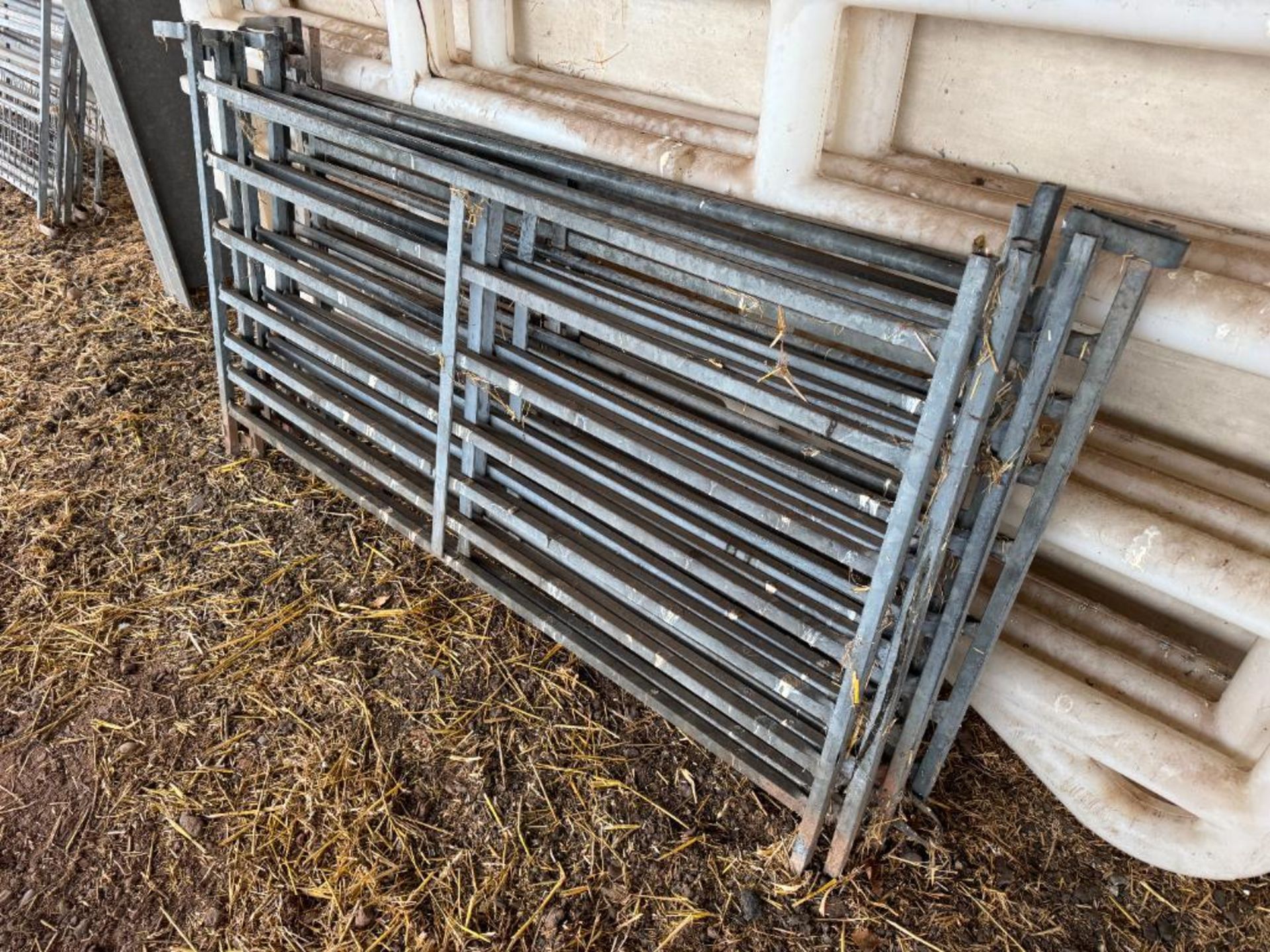 Quantity 5ft 6" galvanised sheep hurdles