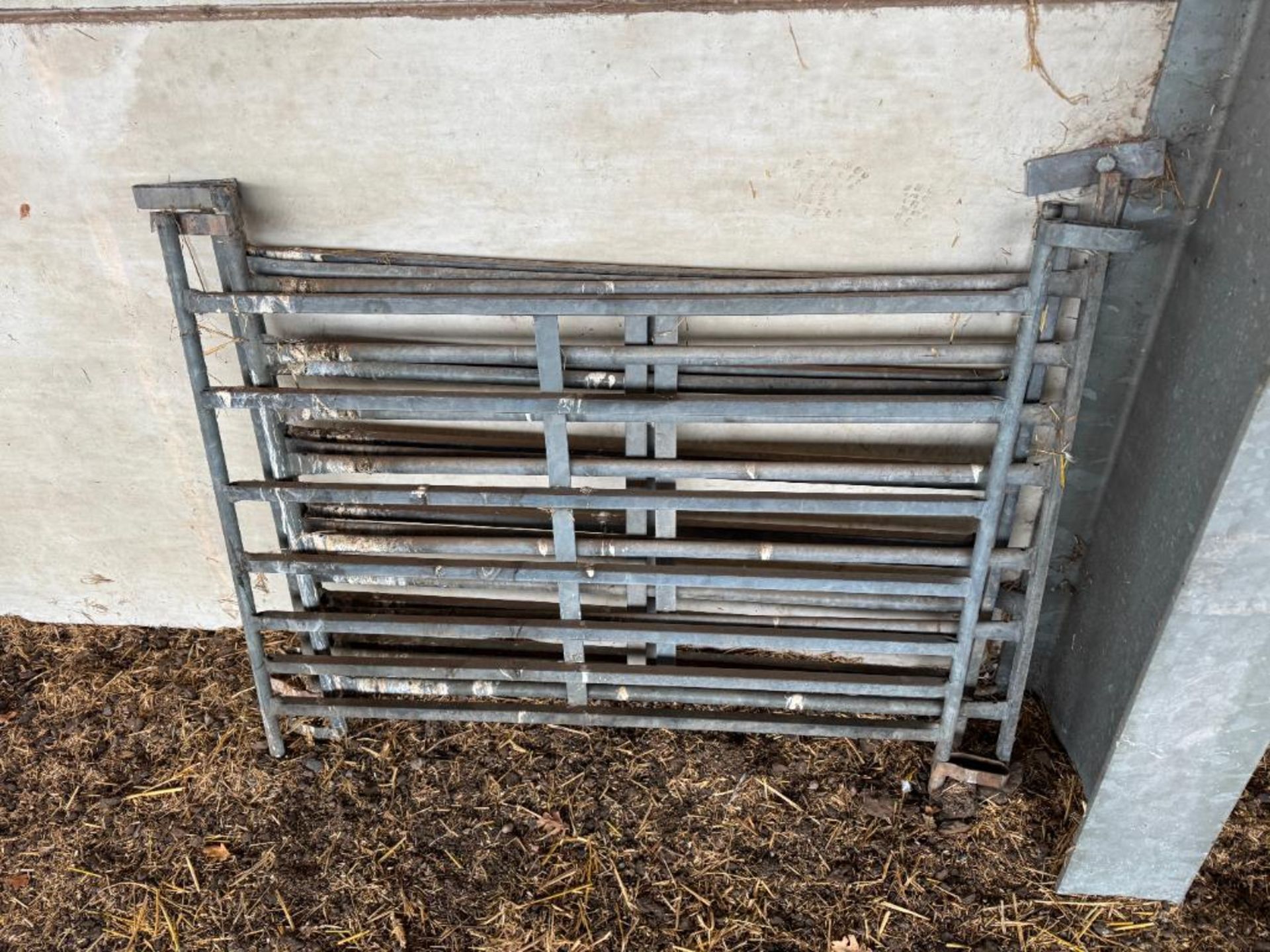 Quantity 4ft galvanised sheep hurdles