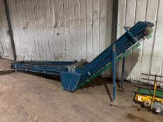 Swan neck conveyor 60cm wide x 3.8m flat section and 60cm x 2.1m neck, 3 phase
