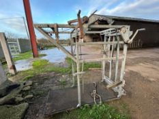 WOPA Galvanised Cattle Crush - (Lincolnshire)