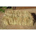 2025 Meadow Hay - (Norfolk)