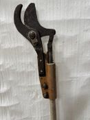 Limb Lopper Hydraulic Tree Pruner - (Lincolnshire)