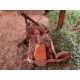 Howard Rotovator - (Norfolk) - Image 2 of 2