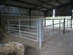 Large Cattle Pen Gates - (Leicestershire)