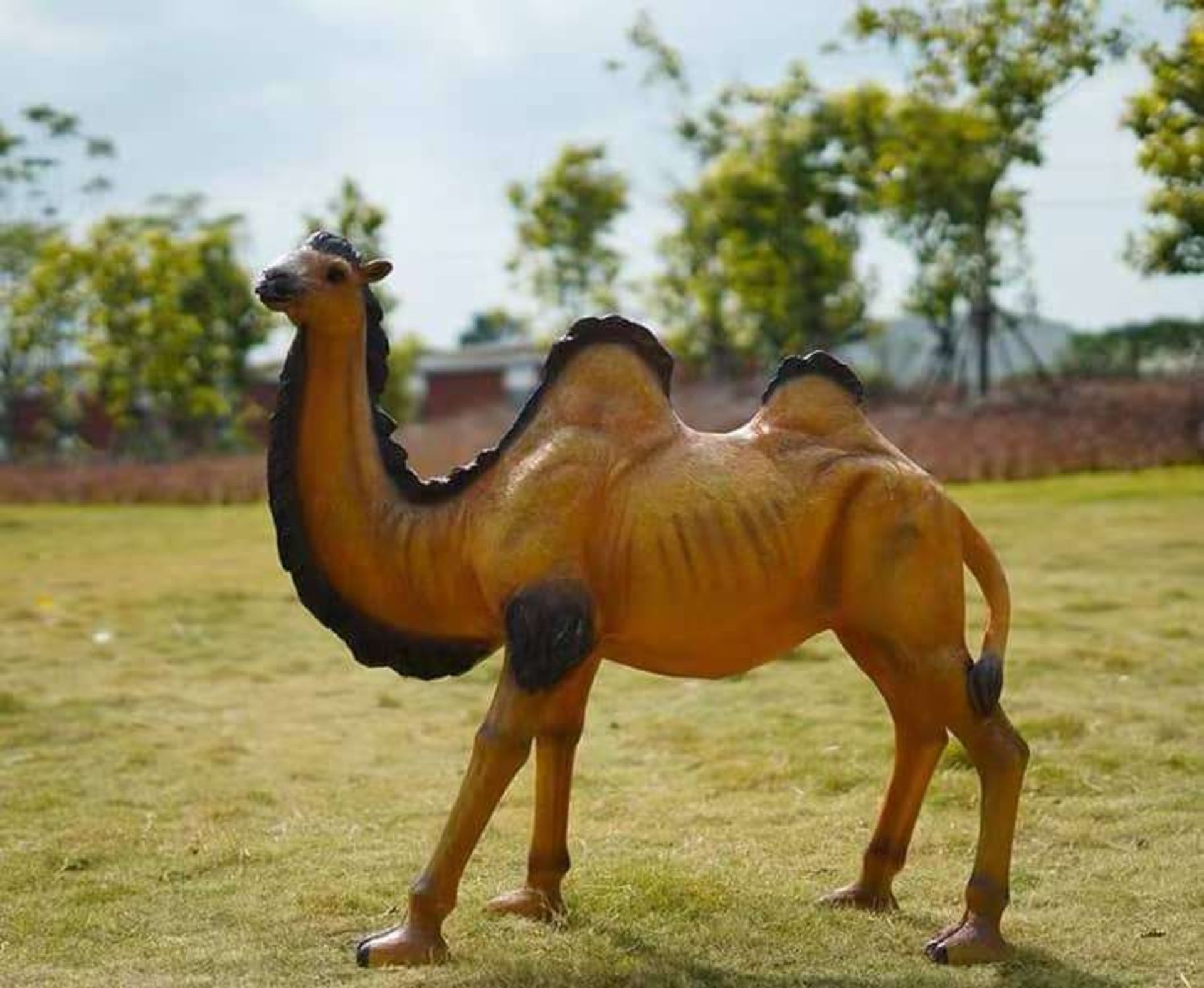 HUGE CRATED 1.3M LONG FIBREGLASS RESIN CAMEL