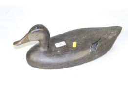 A decoy duck