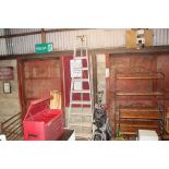 An aluminium fruit ladder