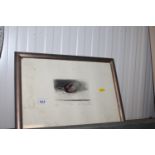 A framed and glazed pencil signed coloured etching