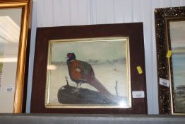 An oak framed oil study depicting a pheasant