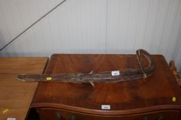 A dried specimen of a longnose gar